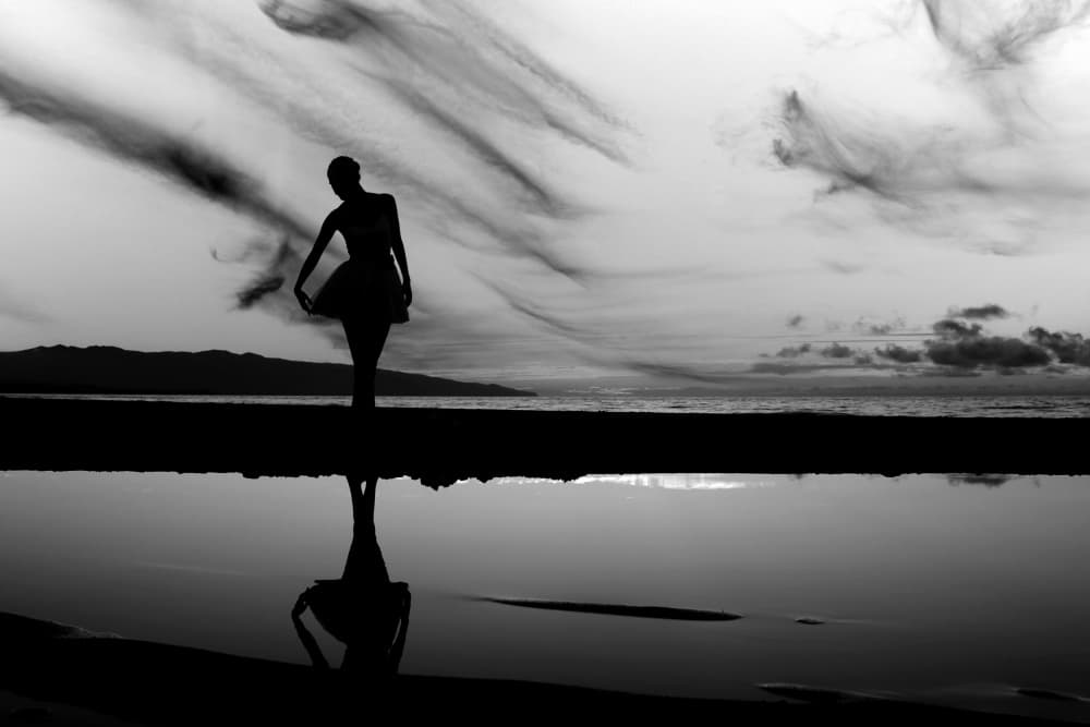 Graceful Ocean Silhouette by Paulo Medeiros — canvas wall art