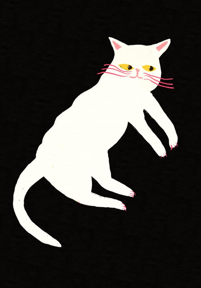 Grumpy White Cat by Sharyn Bursic — canvas wall art