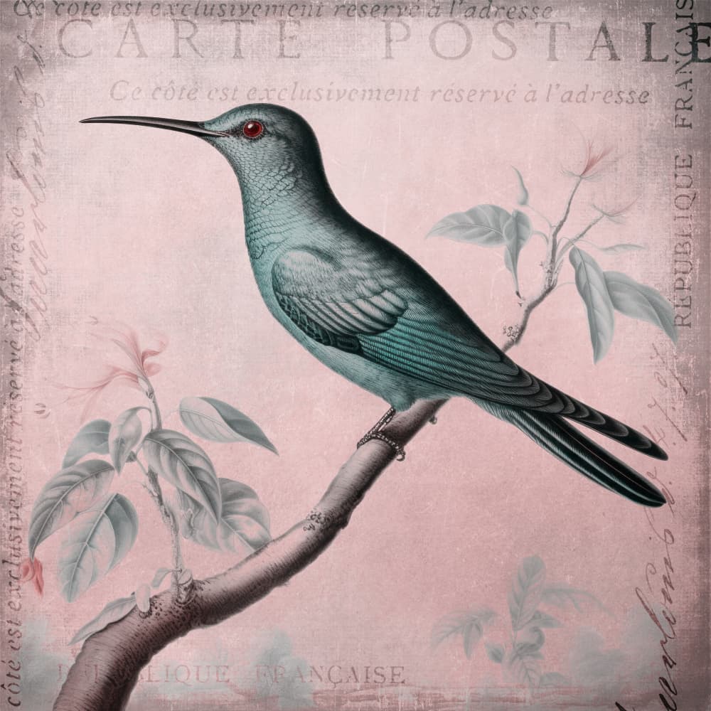 Botanical Blue Bird by Andrea Haase — canvas wall art