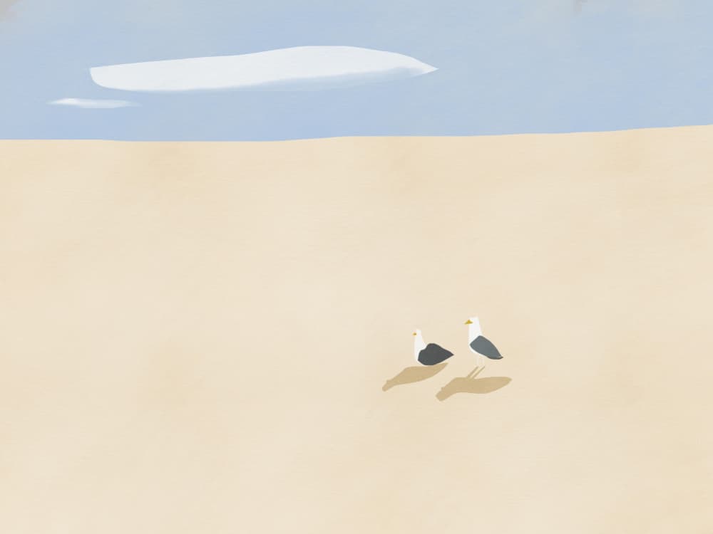 Seagulls on Sandy Beach by Little Dean — canvas wall art