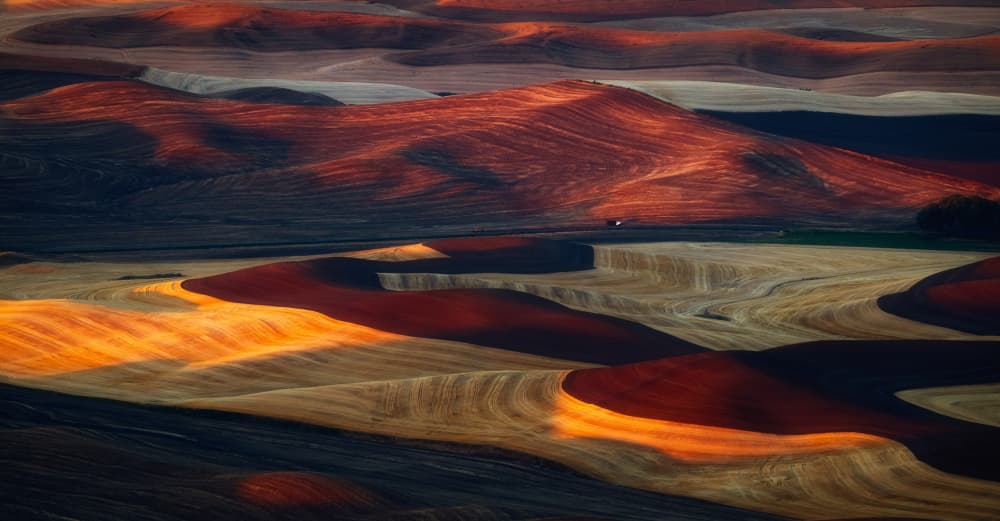 Golden Hour Fields by James Lu — canvas wall art