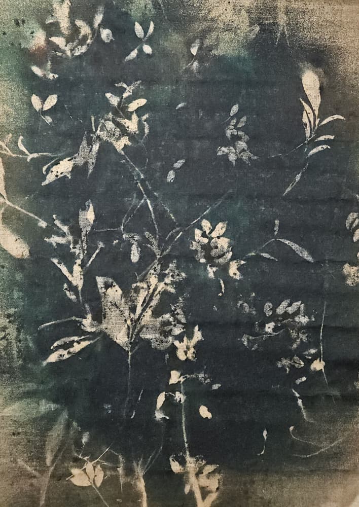 Vintage Botanical Silhouettes by Stefano Mazzolini — canvas wall art