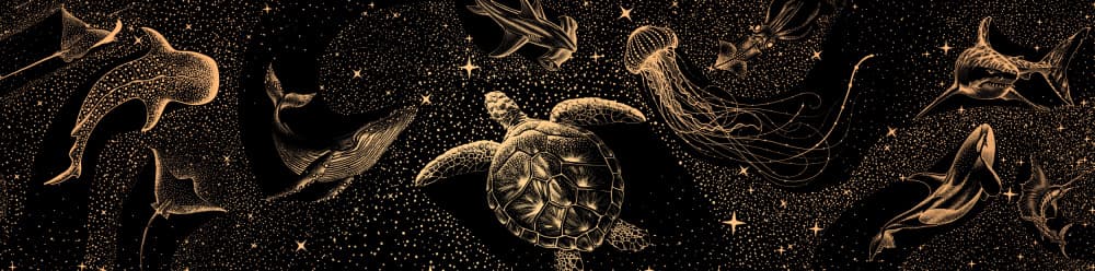 Celestial Ocean Creatures by Alirıza ÇAKIR — canvas wall art