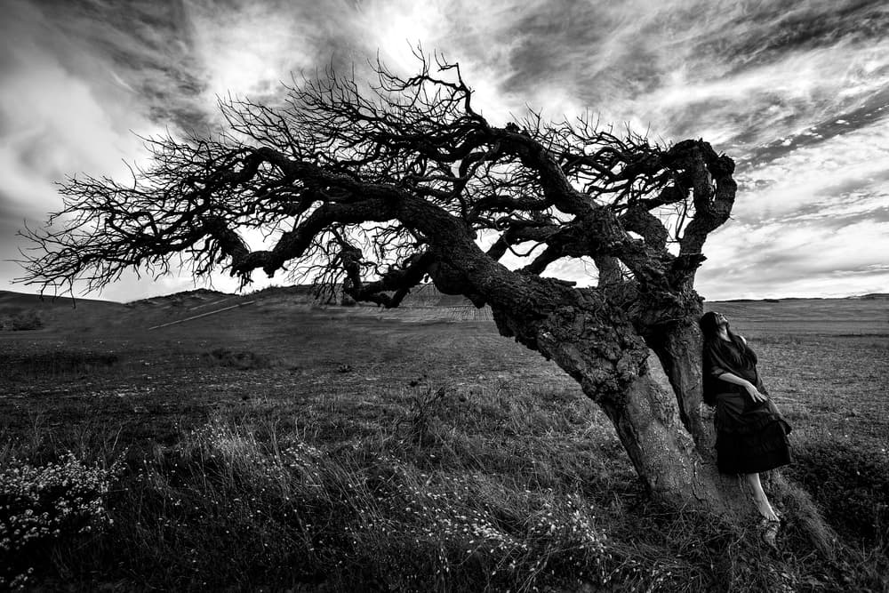 The witch's tree by Marco Redaelli — canvas wall art