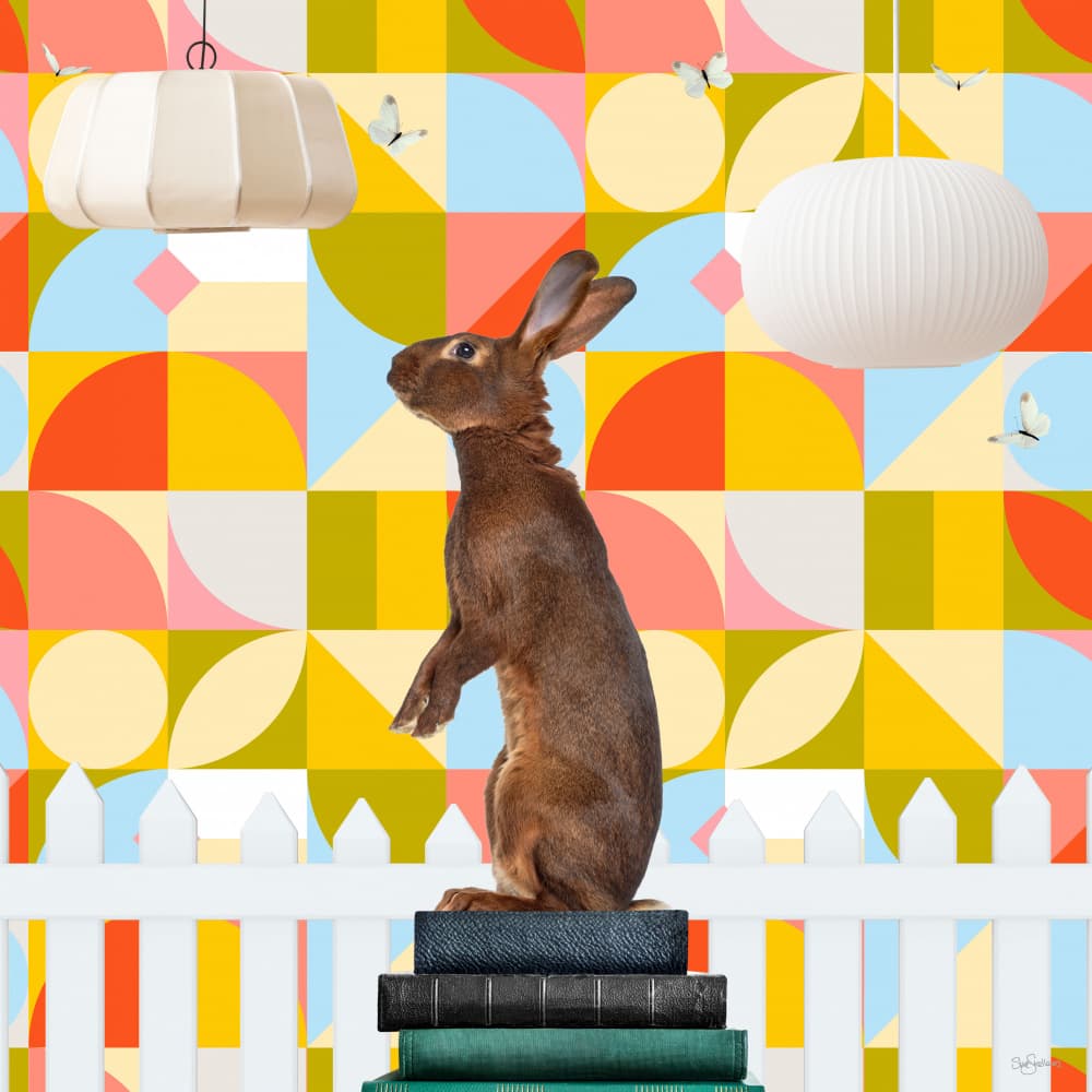 Curious Rabbit on Books by Sue Skellern — canvas wall art