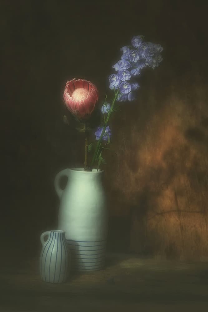 Pink Protea Floral Still Life by Saskia Dingemans — canvas wall art