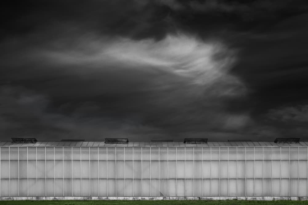 Dark Greenhouse Sky by Gilbert Claes — canvas wall art