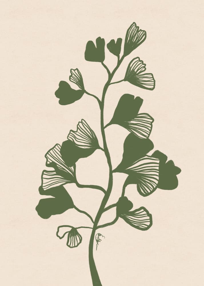 Ginkgo Botanical Branch by Elsa Nätterdal — canvas wall art