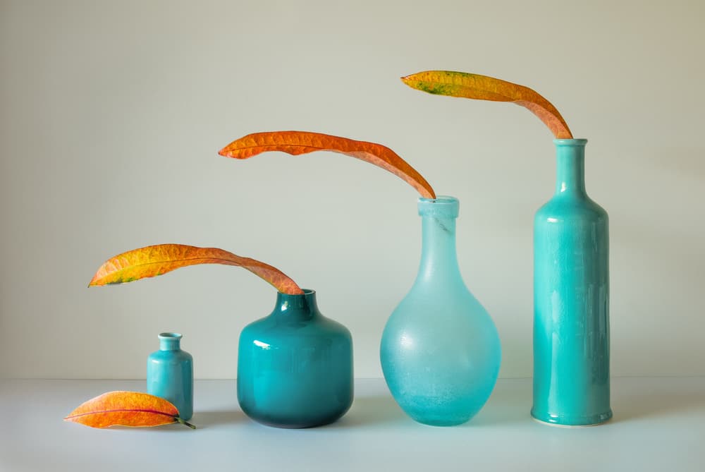 Autumn Teal Still Life by Jacqueline Hammer — canvas wall art