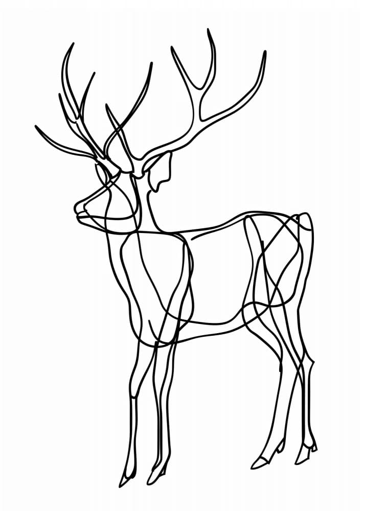 Continuous Line Stag by Justyna Jaszke — canvas wall art