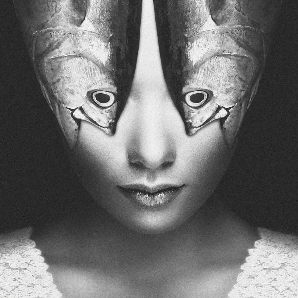 Surreal Fish Eyes by Stefan Eisele — canvas wall art