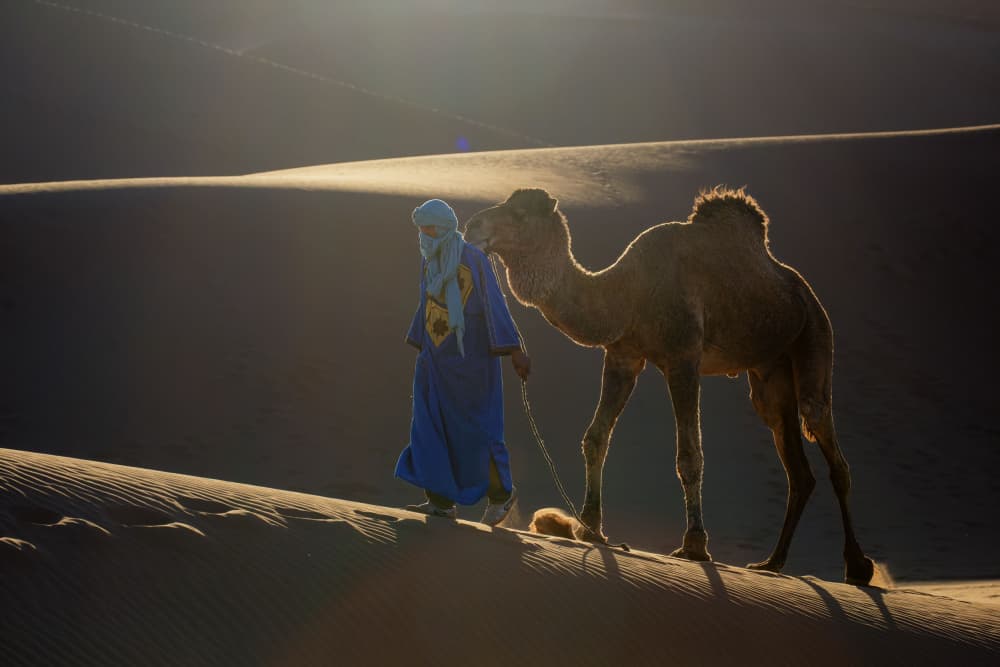 Golden Desert Trek by Sally Widjaja — canvas wall art