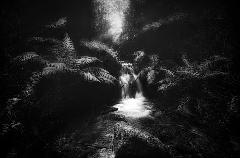 Dark Forest Waterfall by Santiago Pascual Buye — canvas wall art