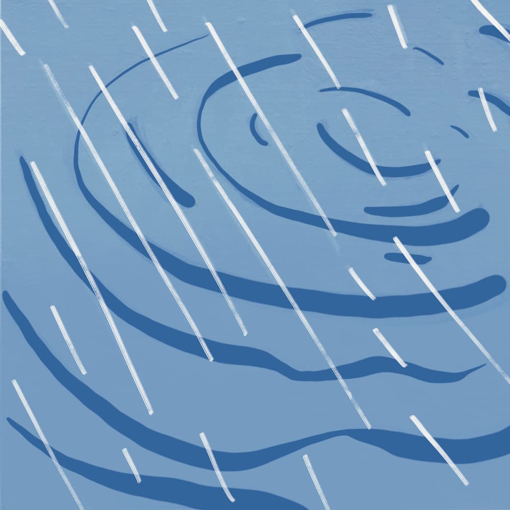 Rainy Day Ripples by Little Dean — canvas wall art