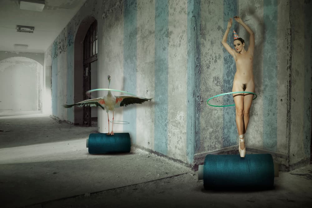 Surreal Ballet Flamingo by Christine von Diepenbroek — canvas wall art