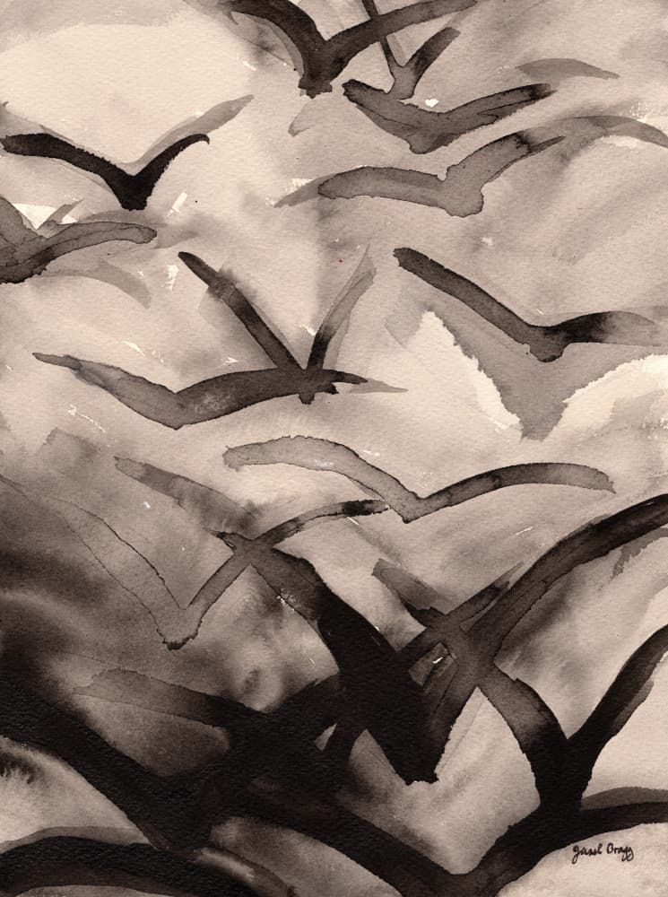 Soaring Bird Flock by Janel Bragg — canvas wall art
