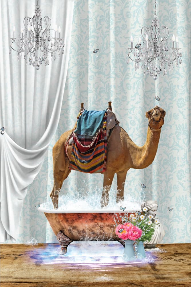 Whimsical Camel Bath by Sue Skellern — canvas wall art