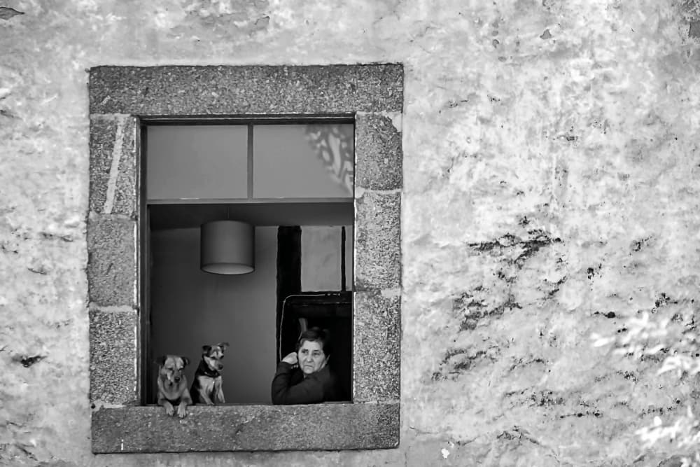 Village Window Watchers by Miguel Silva — canvas wall art