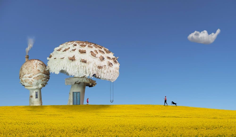 Whimsical Mushroom Homes by Peter Hammer — canvas wall art