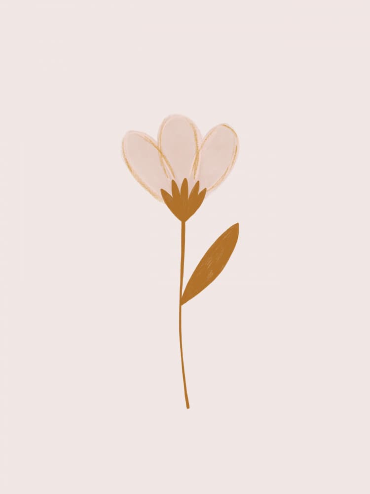 Soft Minimalist Flower by Menina Lisboa — canvas wall art