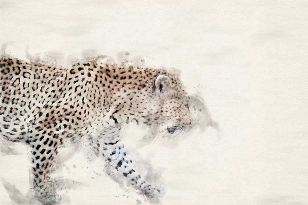 Graceful Watercolor Leopard by Arno Du Toit — canvas wall art