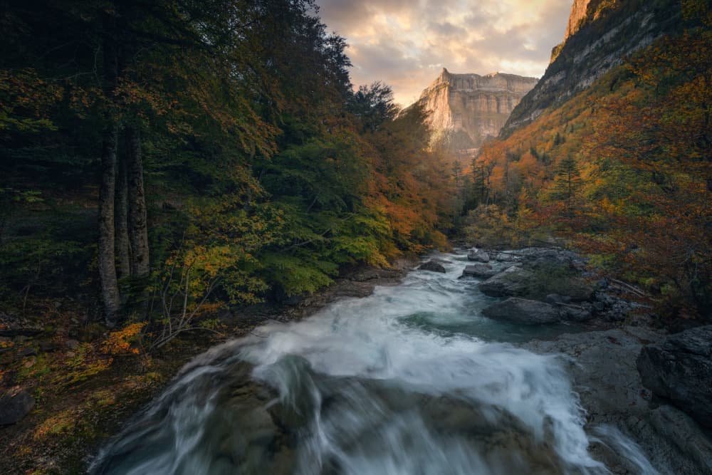 Autumn Mountain River by David Martin Castan — canvas wall art