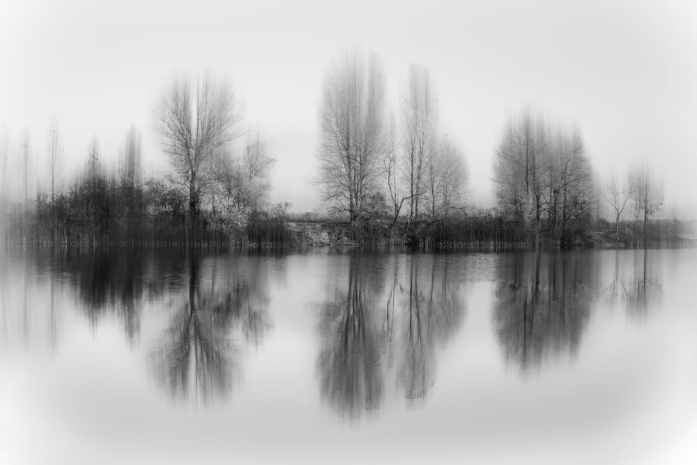Ethereal Landscape Reflections by Fabrizio Massetti — canvas wall art