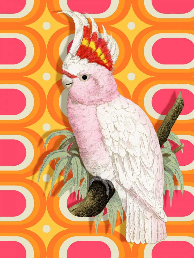 Pink Cockatoo Retro Pop by Marja van den Hurk — canvas wall art