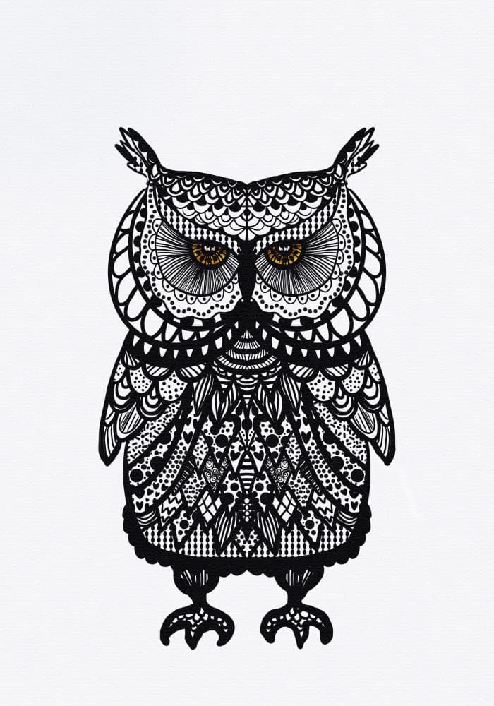 Golden Eyed Patterned Owl by Monica Lindblom — canvas wall art