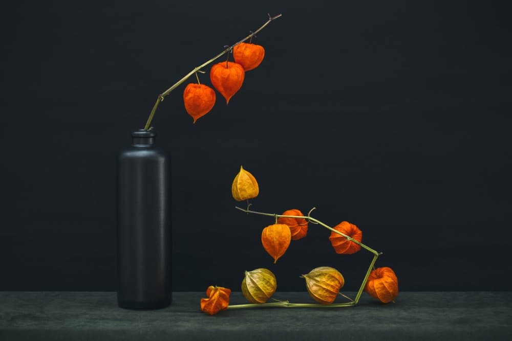 Chinese Lantern Glow by Brig Barkow — canvas wall art