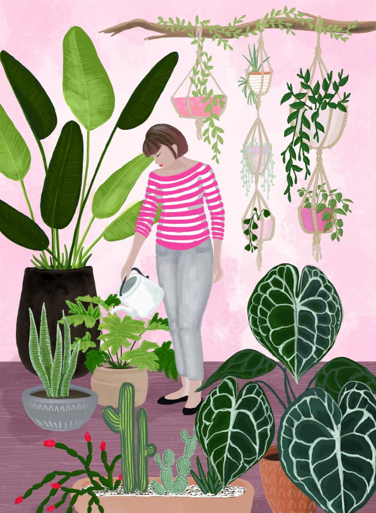 Indoor Plant Sanctuary by Rosana Laiz Blursbyai — canvas wall art