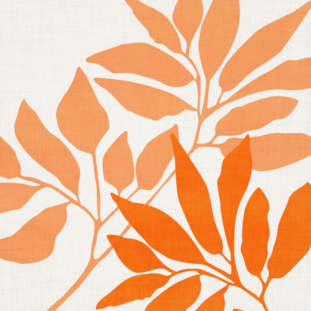 Autumnal Leaves by Kristian Gallagher — canvas wall art