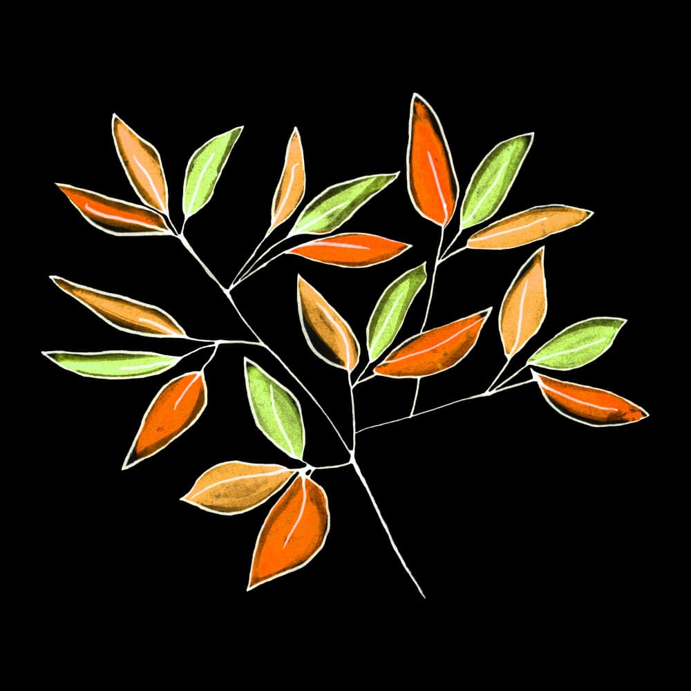 Vibrant Autumn Leaves by Michele Channell — canvas wall art