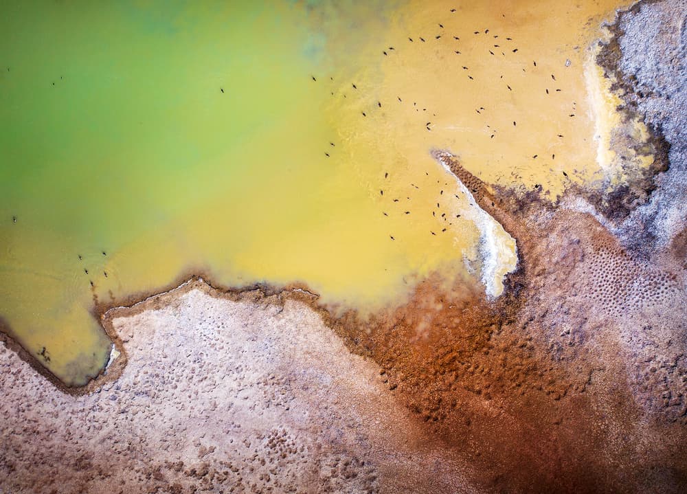 Lake in Spring by Shenshen Dou — canvas wall art