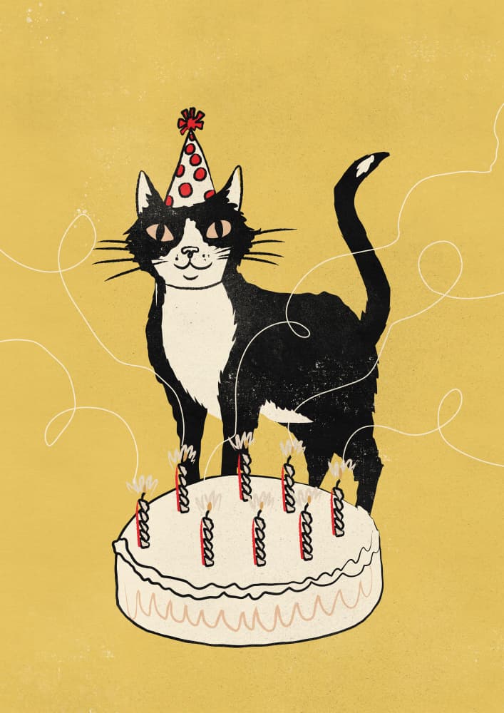 Happy Birthday Cat by Nicholas — canvas wall art