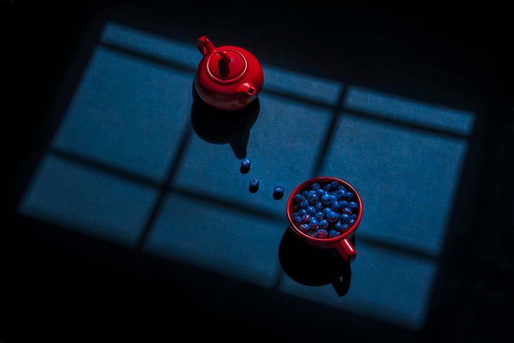 Blueberries Red Teapot by Lydia Jacobs — canvas wall art