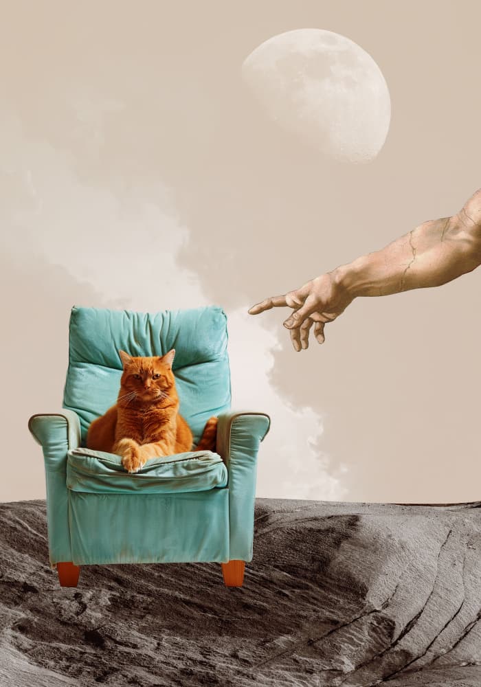Divine Cat Creation by Daniel Donocik — canvas wall art