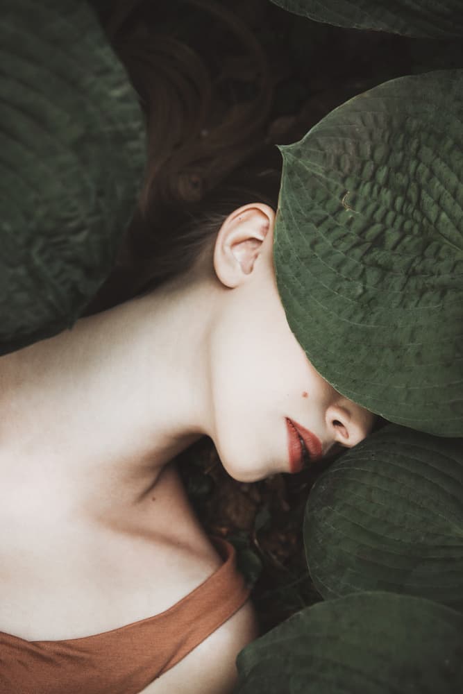Hidden In Leaves by Dorota Gorecka — canvas wall art
