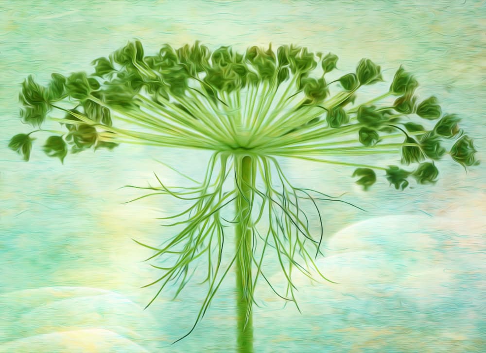Delicate Botanical Structure by Hilda van der Lee — canvas wall art