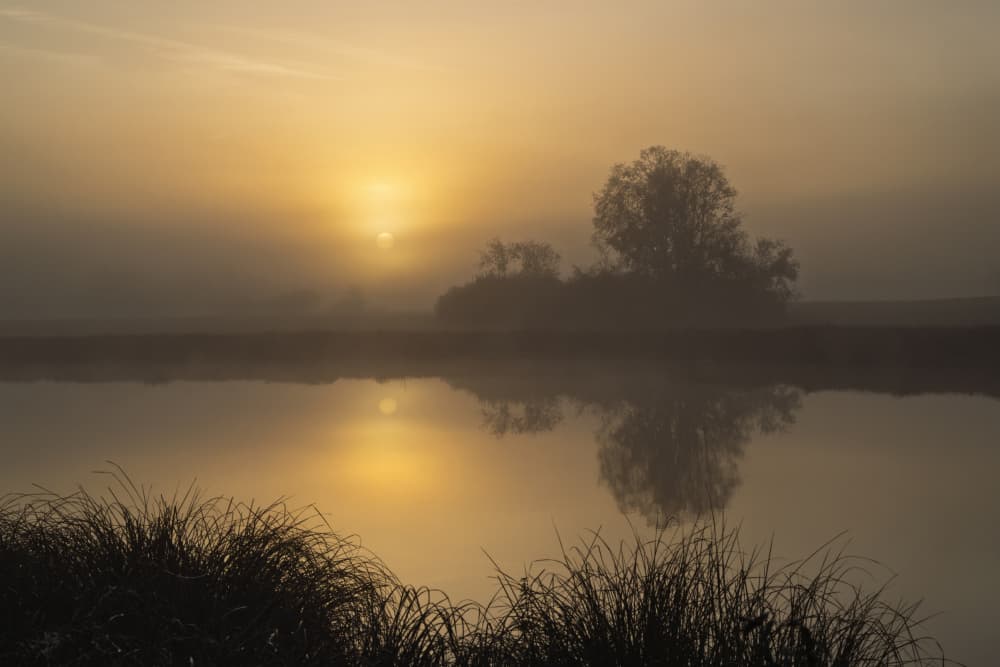 Misty Golden Sunrise by Norbert Maier — canvas wall art