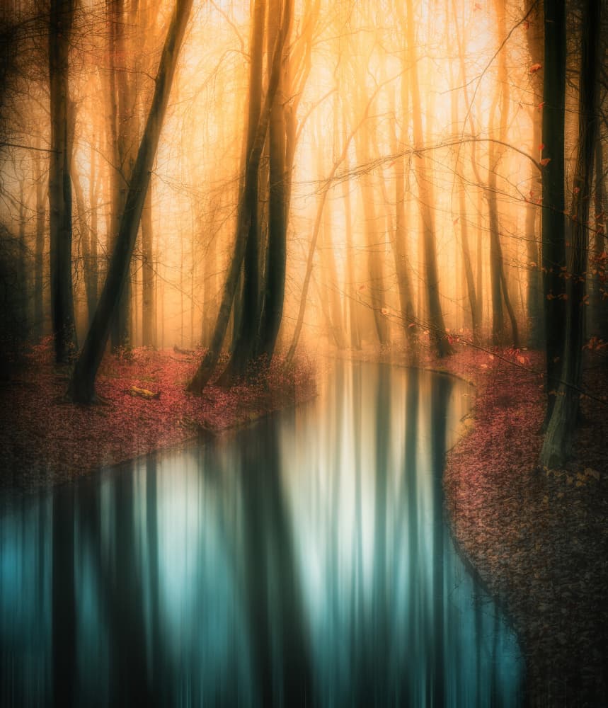 Golden Autumn Forest River by Hilda van der Lee — canvas wall art