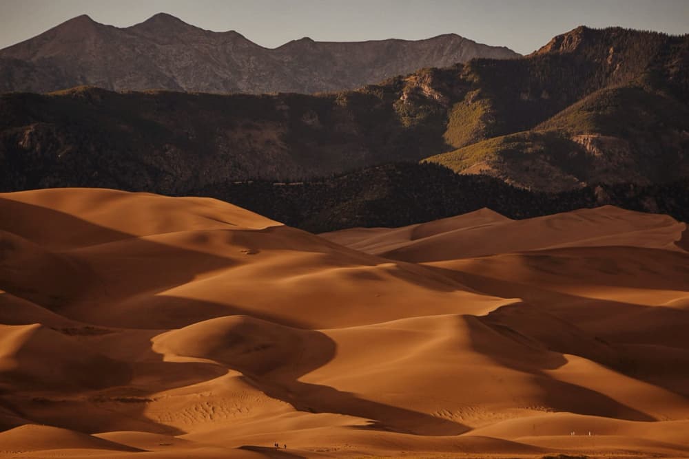 Golden Desert Dunes by Del Mundo Imagery — canvas wall art