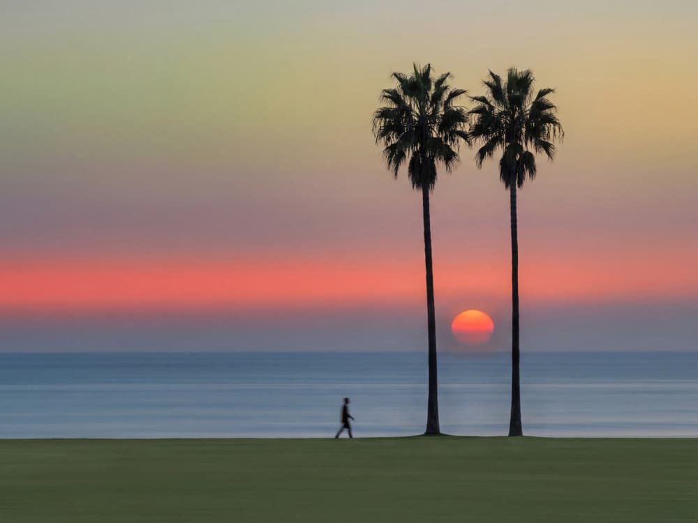 Vibrant Sunset Palms by Andreas Magnusson — canvas wall art