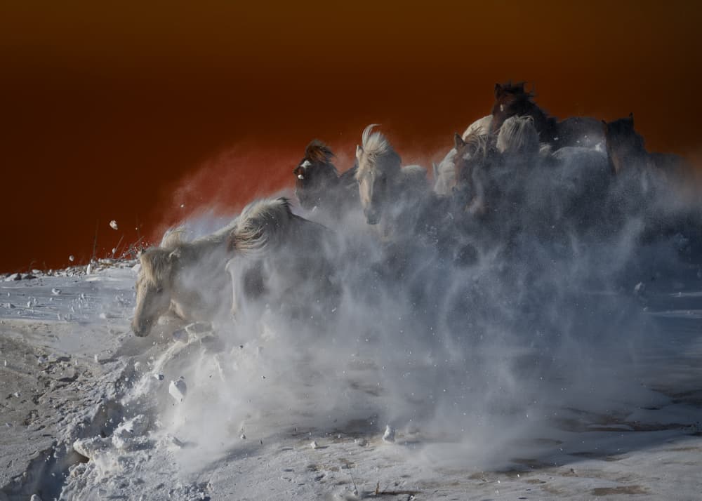 White Horses Blizzard by Chuanxu Ren — canvas wall art