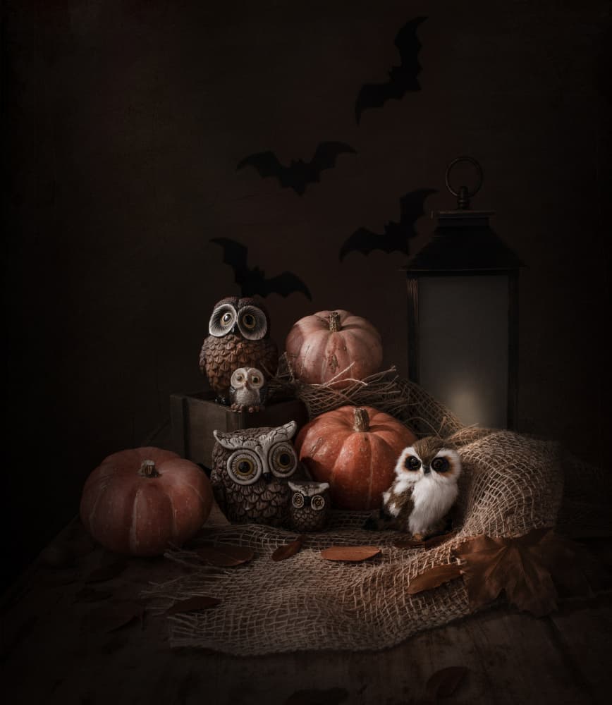 Halloween Owls and Pumpkins by Margareth Perfoncio — canvas wall art