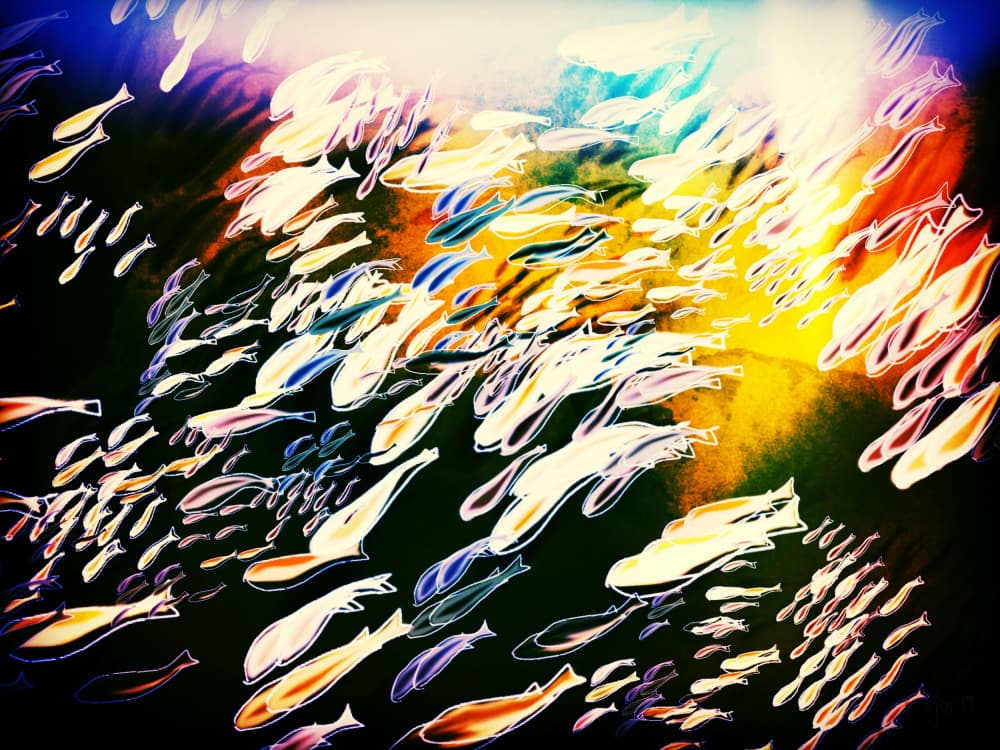 Luminous Fish School by Jocelyn Wortley — canvas wall art