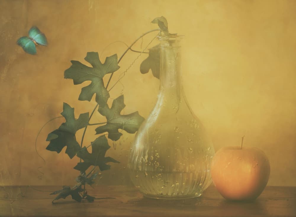 Blue Butterfly Still Life by Delphine Devos — canvas wall art