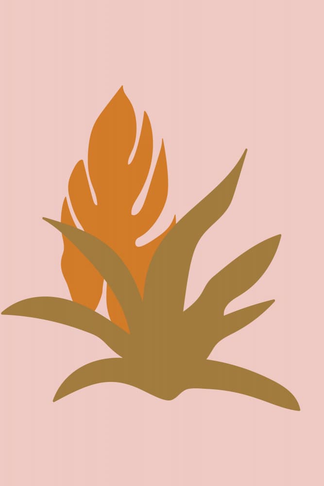 Earthy Botanical Forms by Dina Dankers — canvas wall art