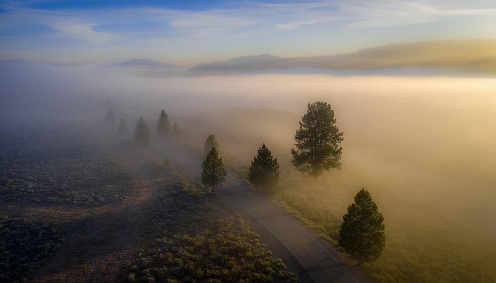 Misty Morning Road by Rob Darby — canvas wall art