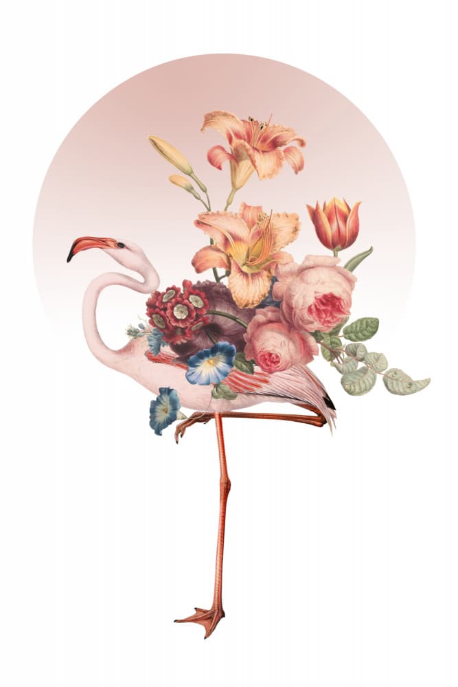 Whimsical Flamingo Bloom by Marja van den Hurk — canvas wall art